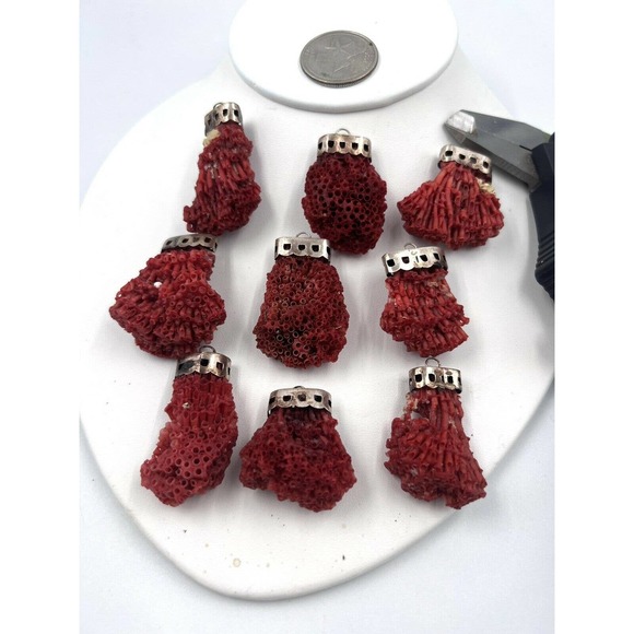 COPY - Natural Red Pipe Coral Pendant 925 Starling Silver Cape Buyer Will Get 1… - Picture 5 of 9